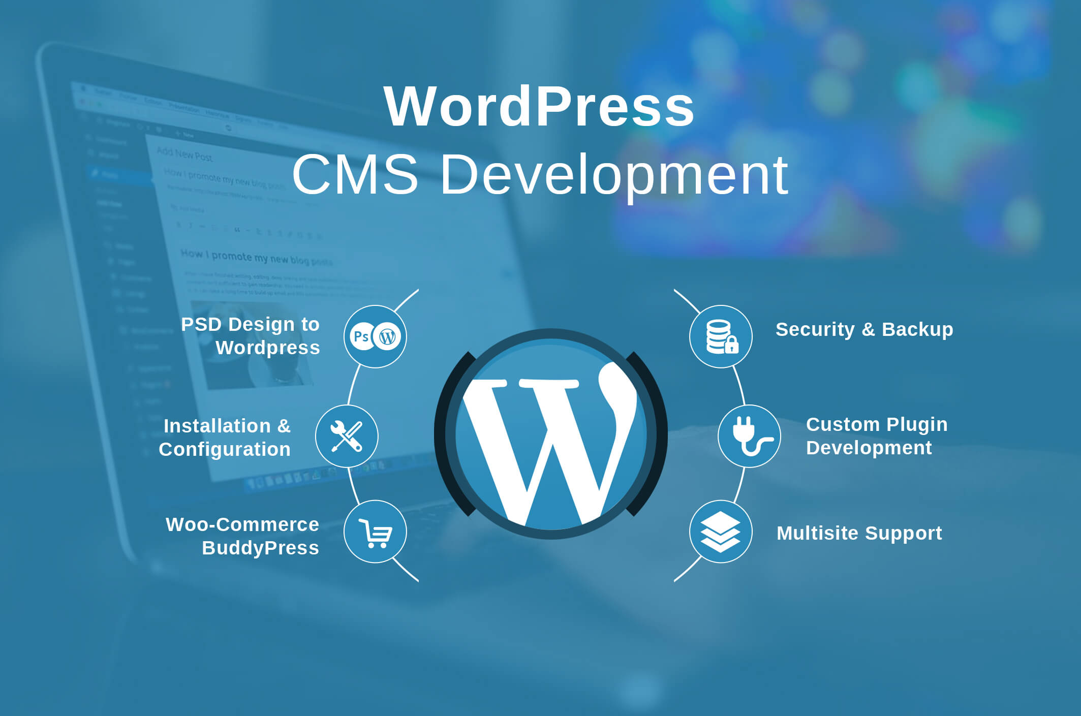 WordPress Business Website