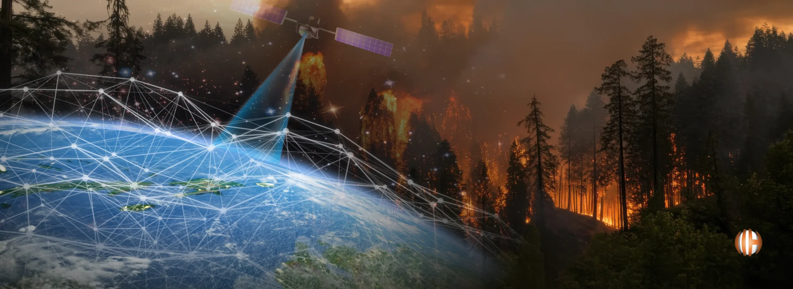 How IoT is Transforming Forest Fire Detection