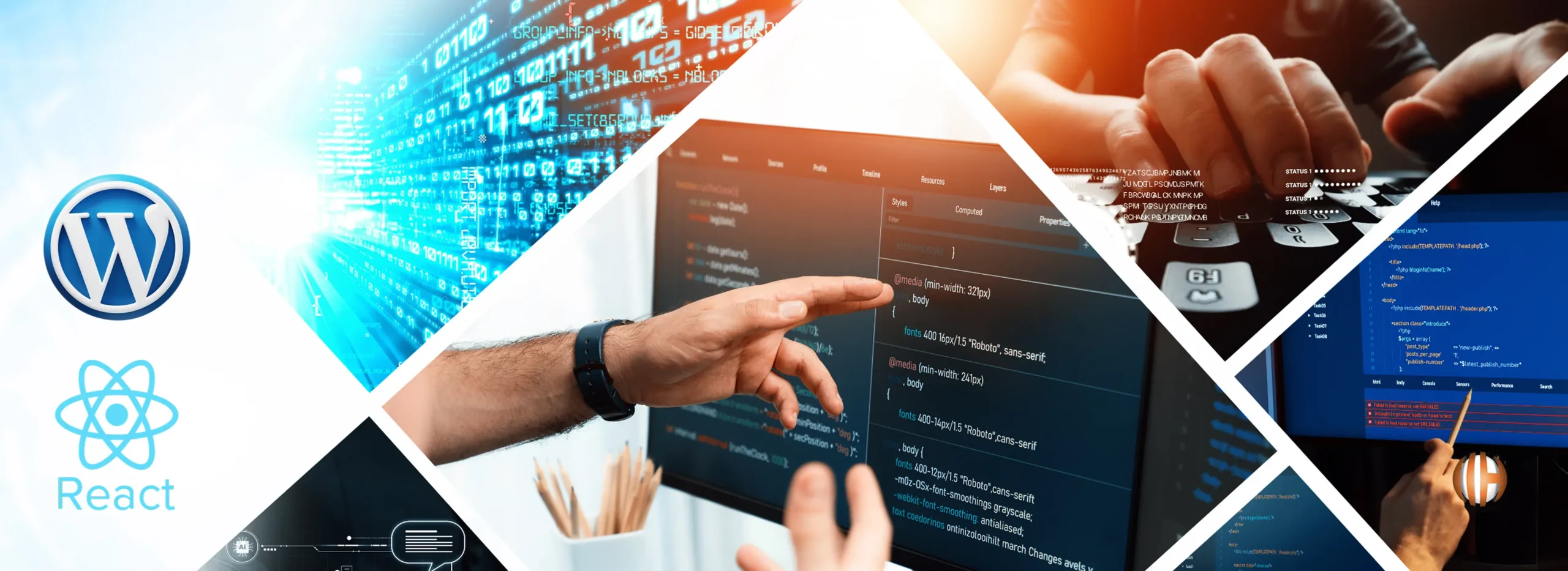 How to Develop a Web App with WordPress & React