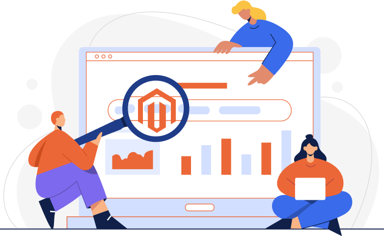 magento plugin developer