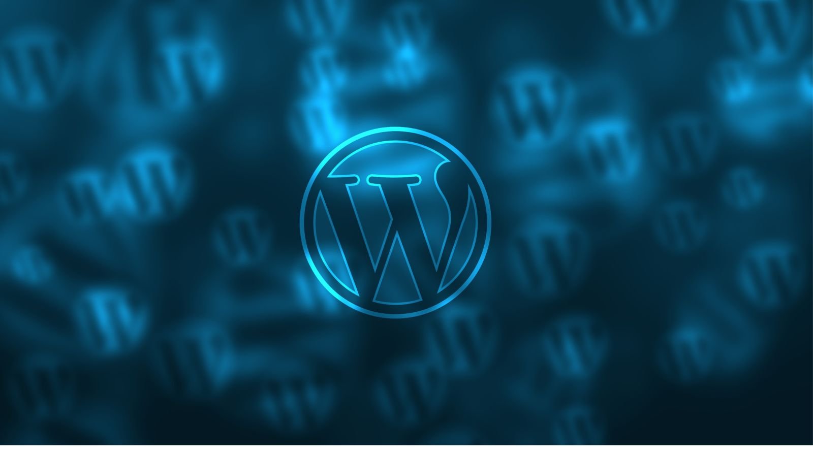 5 Reasons To Hire a WordPress Development Company
