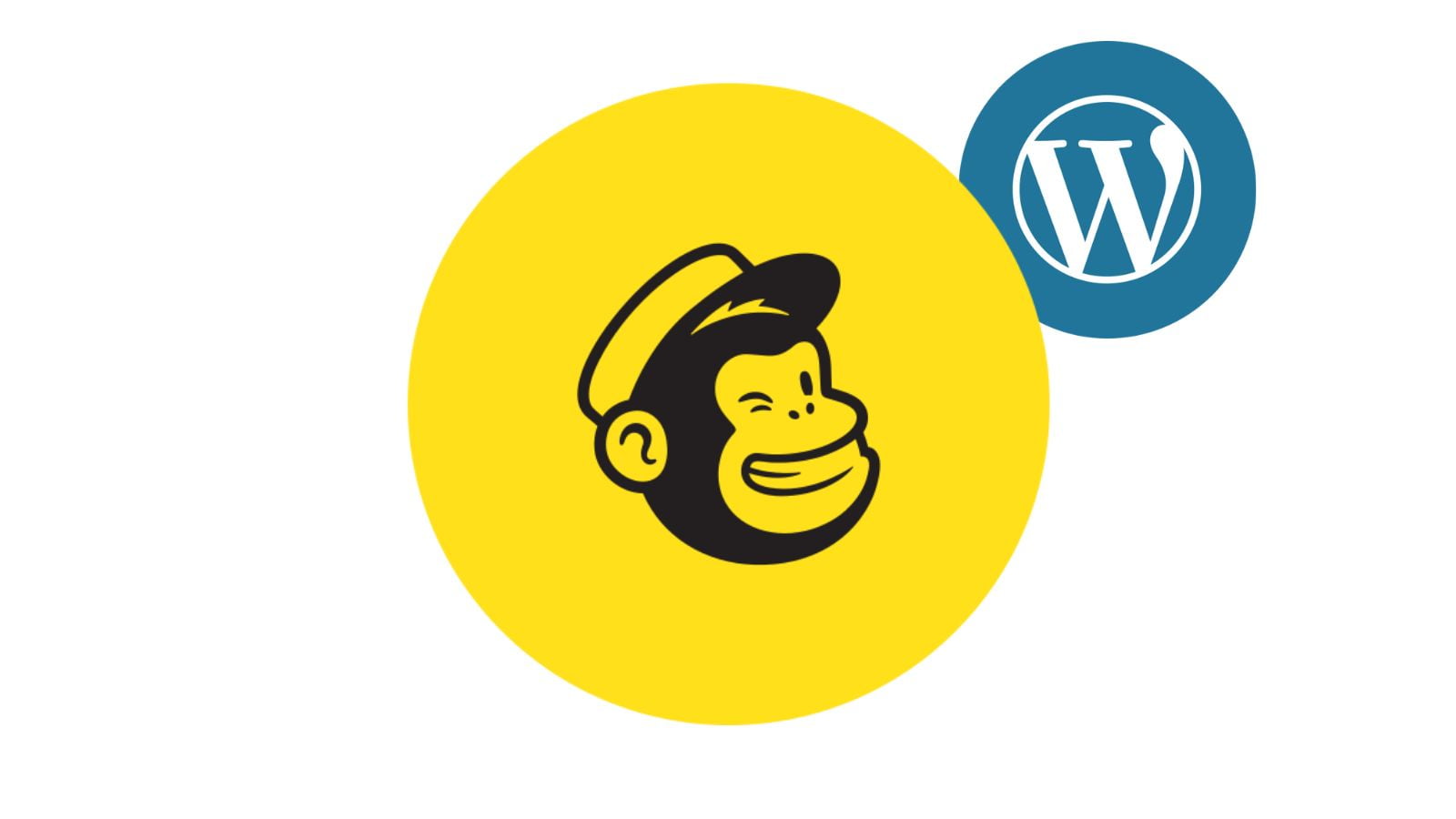 Top 5 Best Mailchimp WordPress Plugins