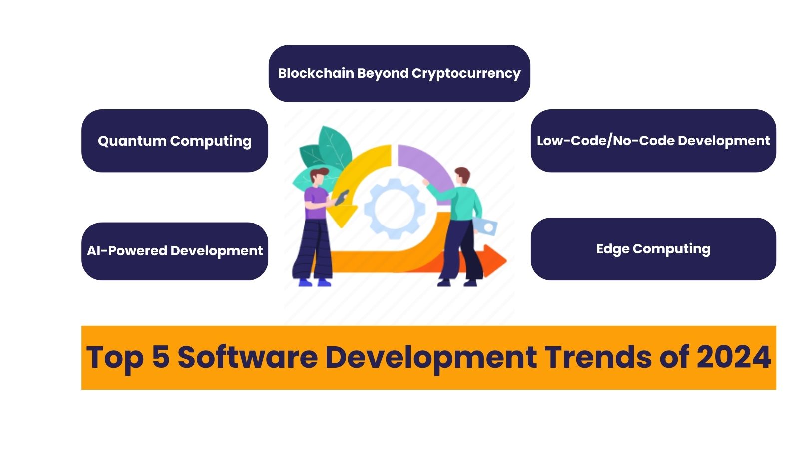 Most Popular Software in 2024 Web Design & Digital Marketing