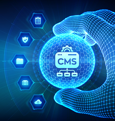 CMS Development Services