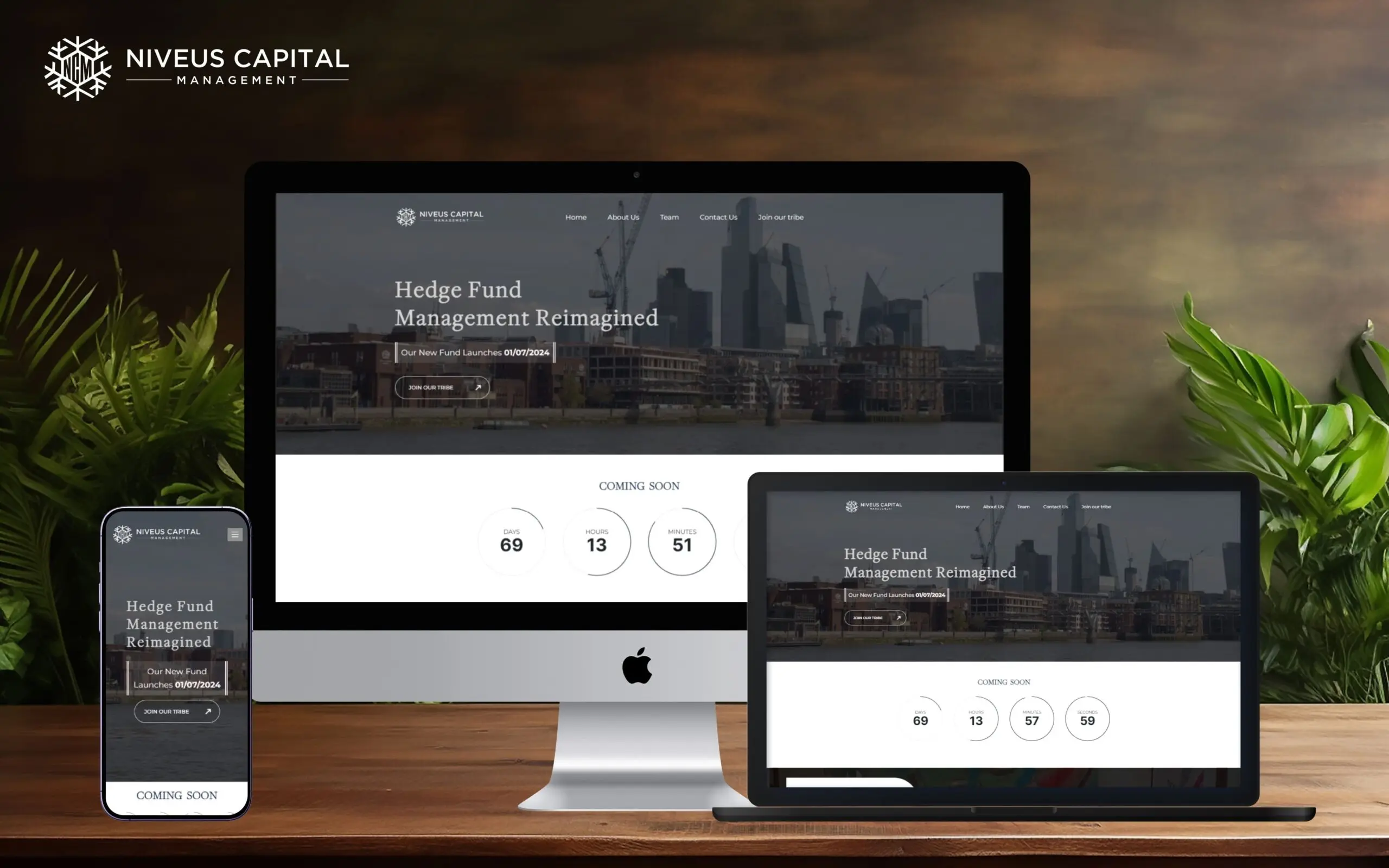Niveus Capital Portfolio