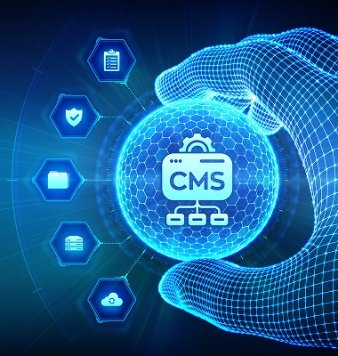 CMS Development Services