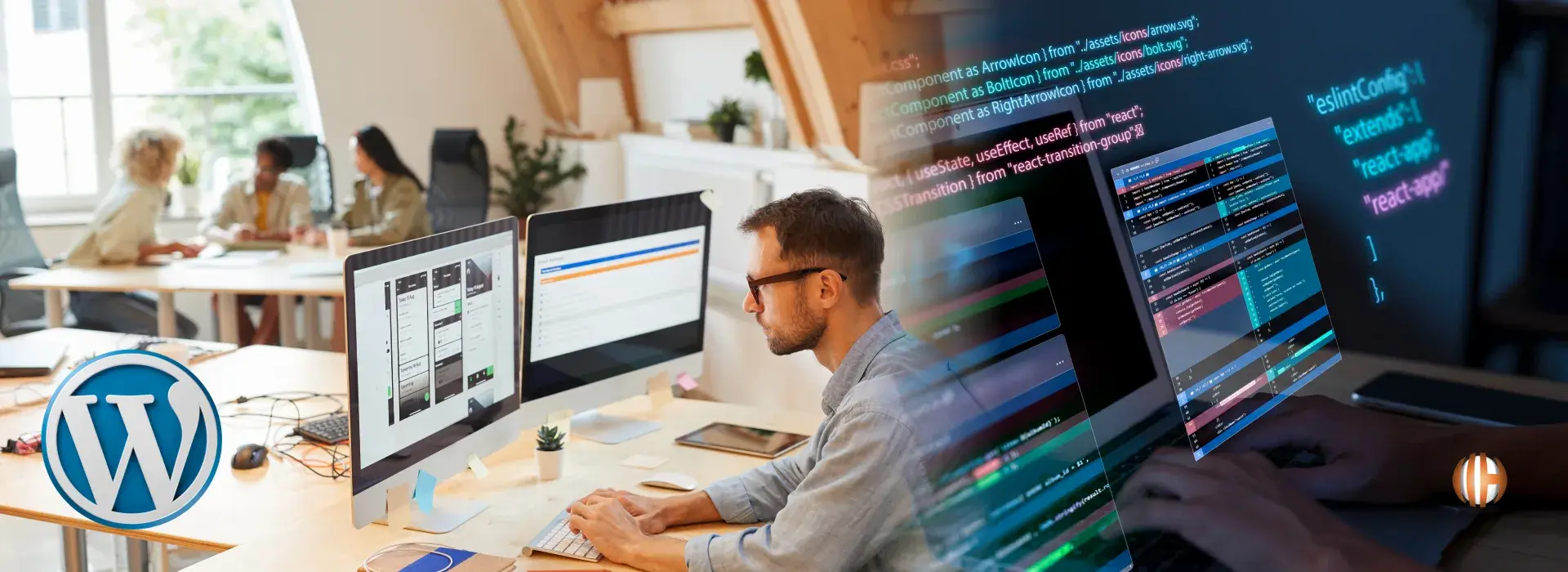 Hire a WordPress Developer