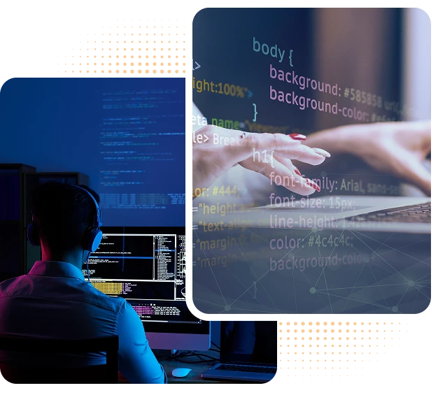 Expert Dedicated Developers