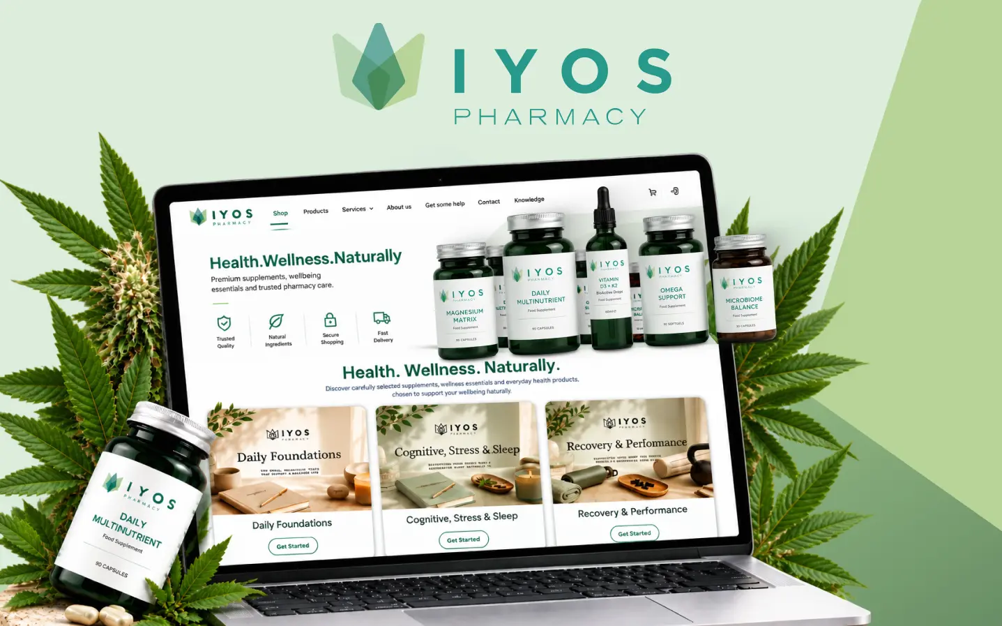 IYOS success stories
